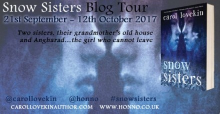 snow sisters blog tour poster (2) - Copy